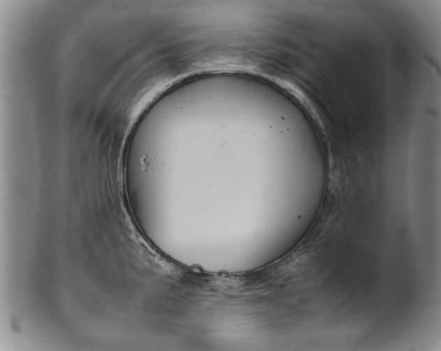 X0000102251191200808081404