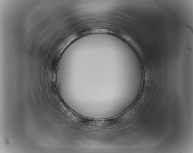 X0000102251193200808081404