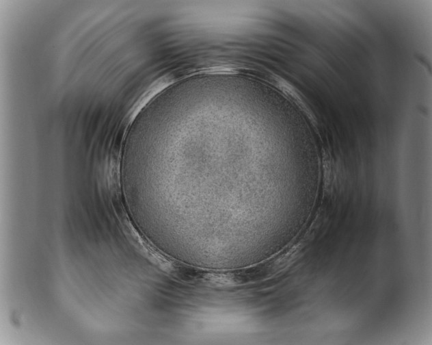 X0000102251194200808081404