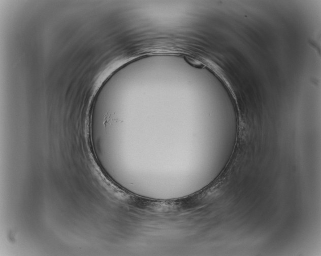 X0000102251195200808081404