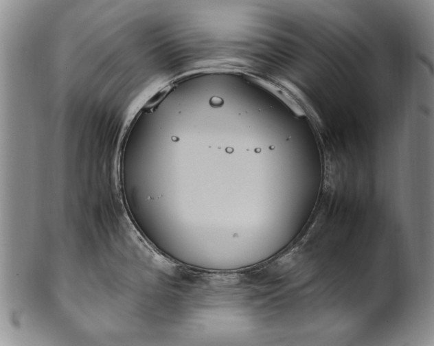 X0000102251196200808081404