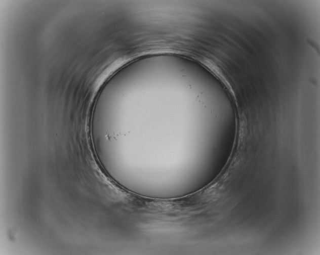 X0000102251197200808081404