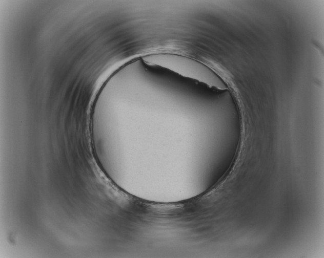 X0000102251200200808081404