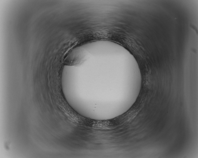 X0000102251201200808081403