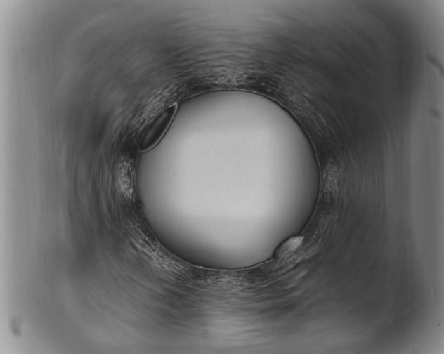 X0000102251202200808081403