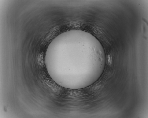 X0000102251203200808081403