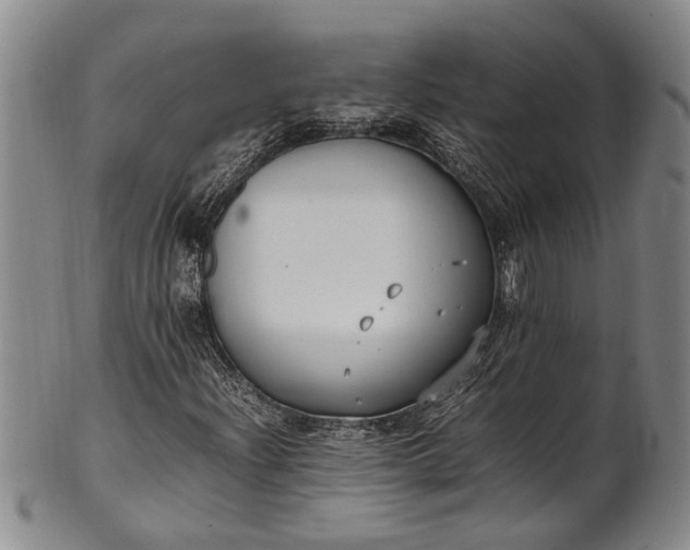 X0000102251204200808081403