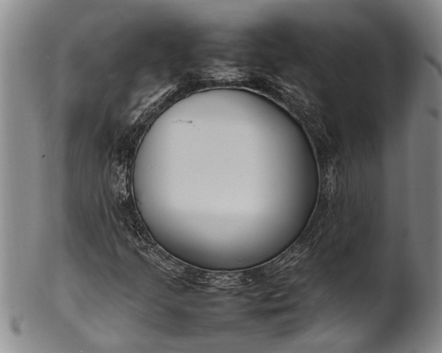 X0000102251205200808081403