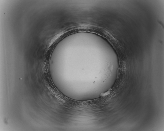 X0000102251208200808081403