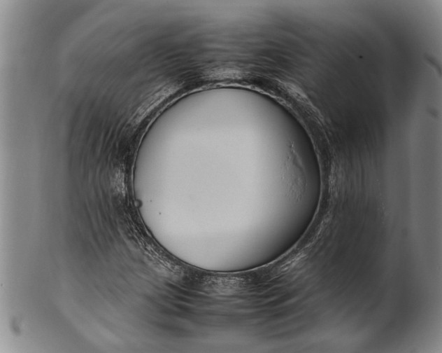 X0000102251209200808081403