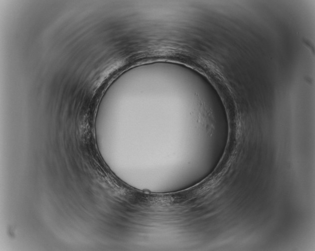 X0000102251210200808081403