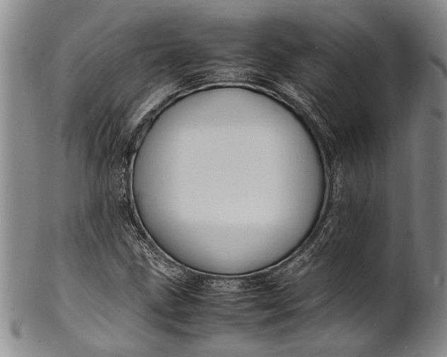 X0000102251211200808081403