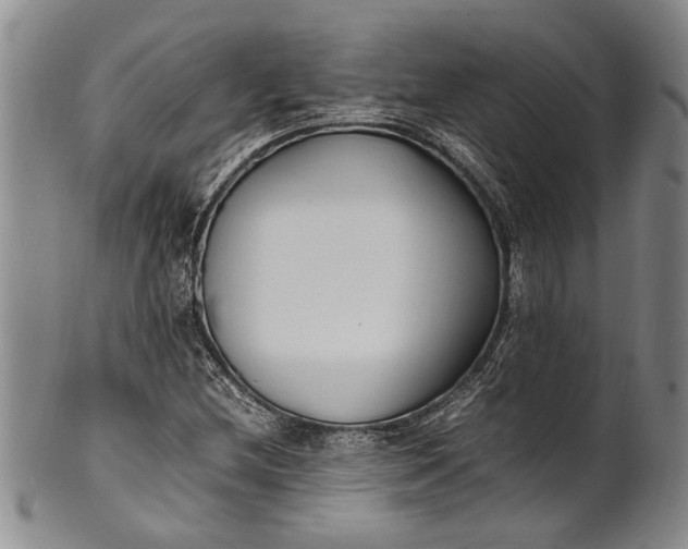 X0000102251212200808081403