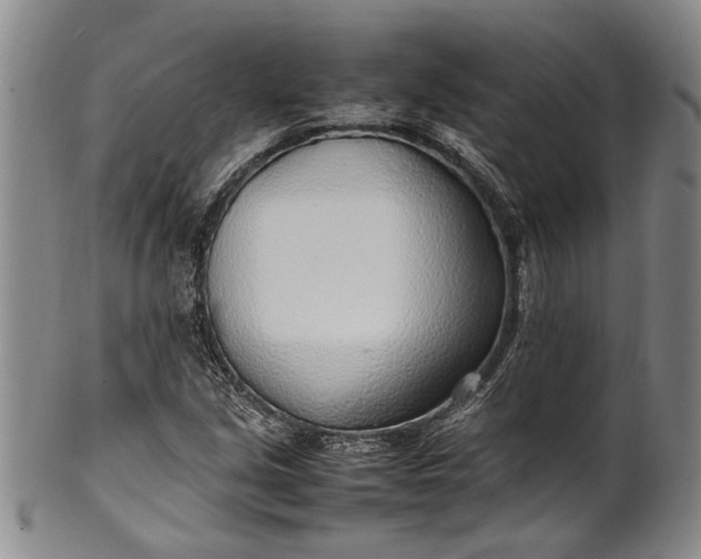 X0000102251213200808081403