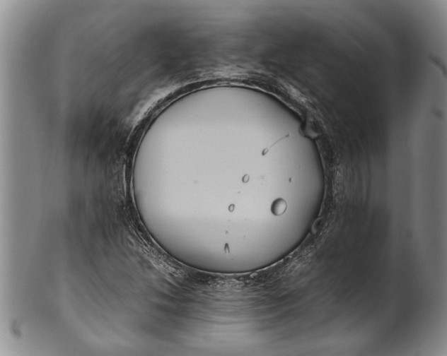 X0000102251214200808081403