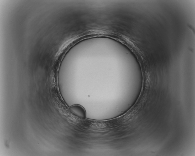 X0000102251215200808081403