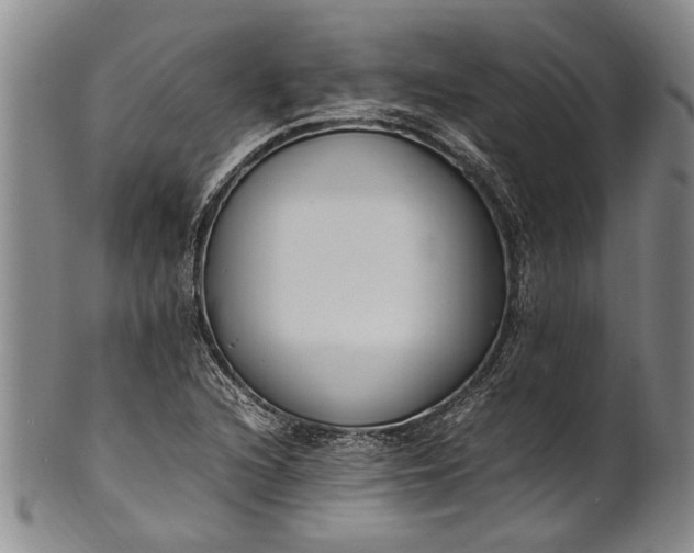 X0000102251216200808081403