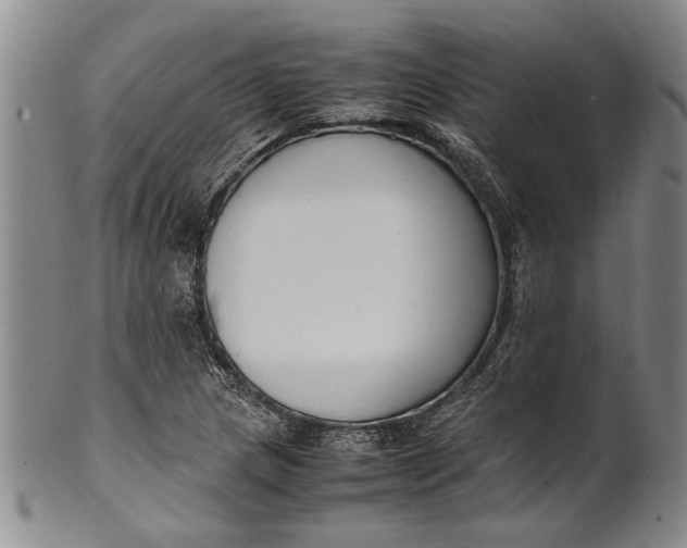 X0000102251217200808081403