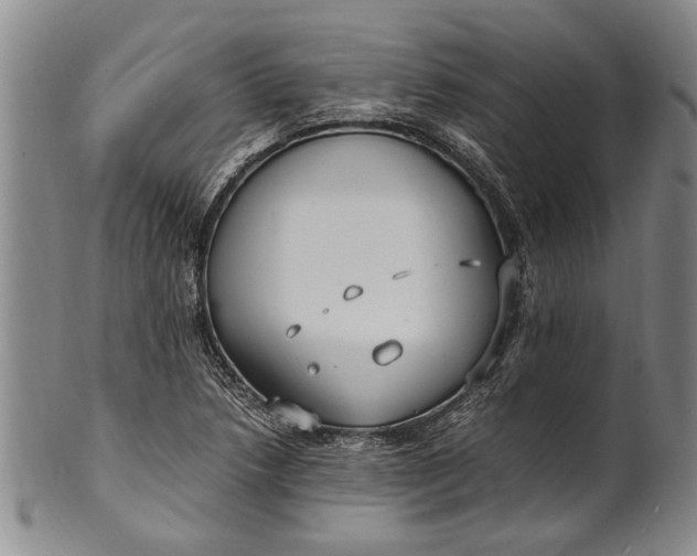 X0000102251218200808081403