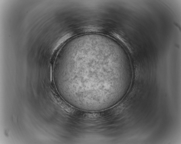 X0000102251219200808081403