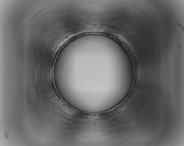 X0000102251220200808081403