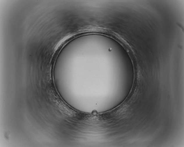 X0000102251222200808081403