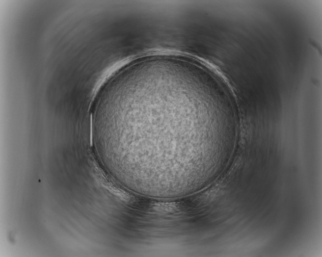 X0000102251223200808081403