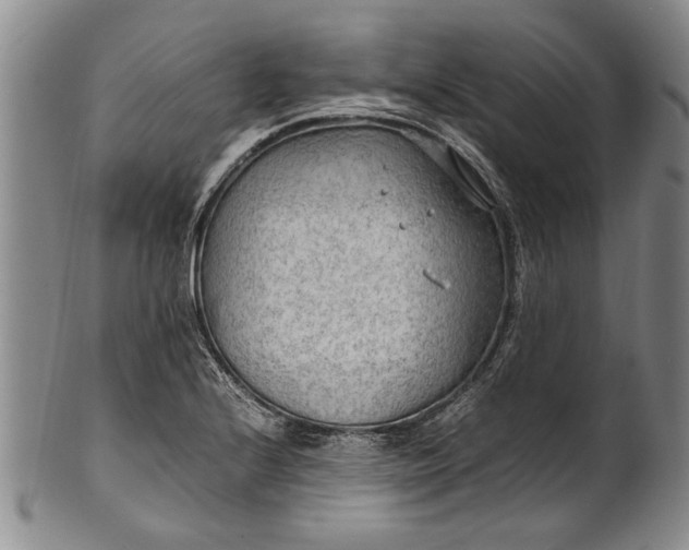 X0000102251224200808081403