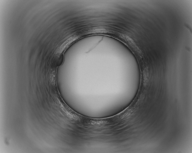 X0000102251225200808081403