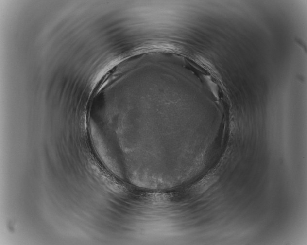 X0000102251226200808081403