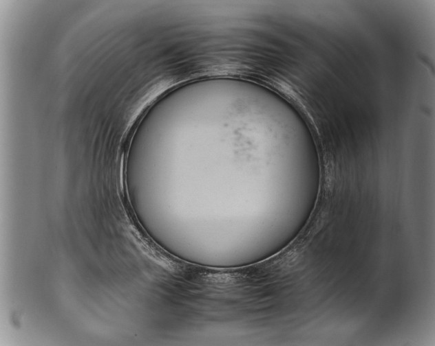 X0000102251227200808081403