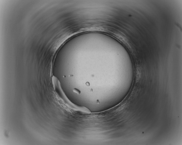 X0000102251228200808081403