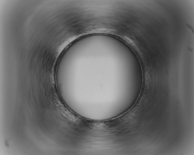 X0000102251230200808081403