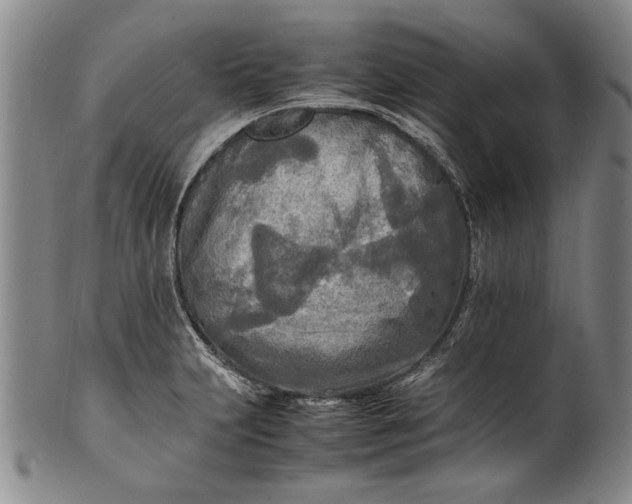 X0000102251231200808081403