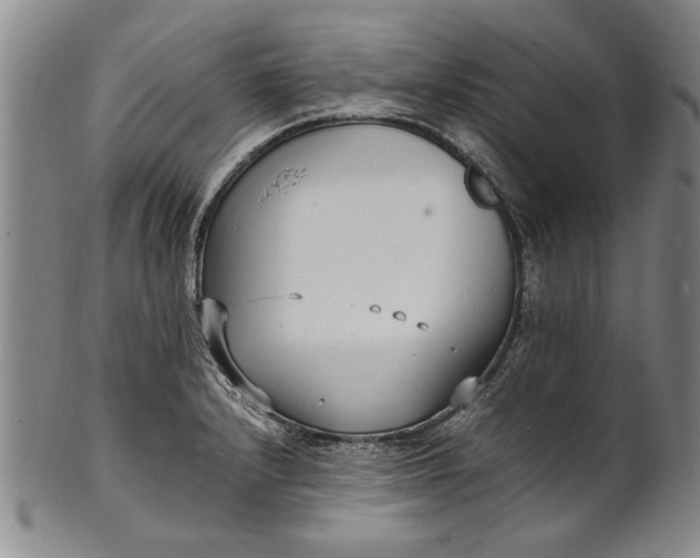 X0000102251232200808081403