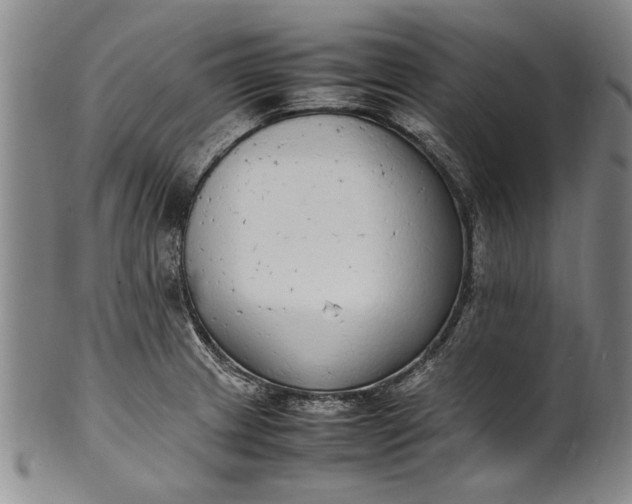 X0000102251233200808081403