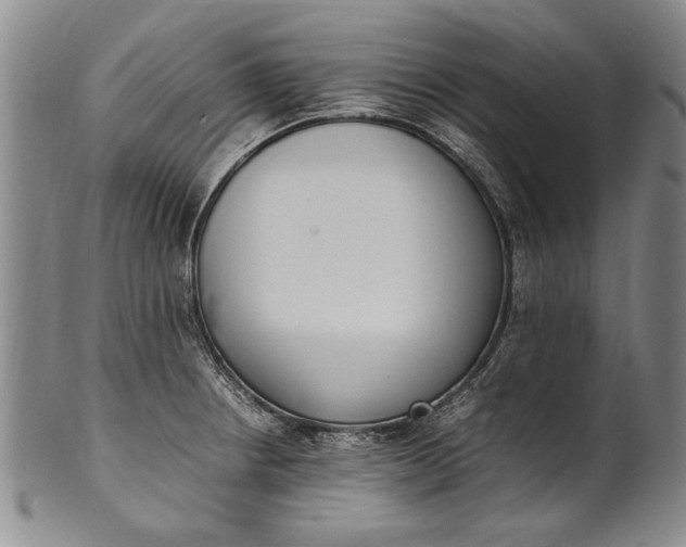 X0000102251234200808081403