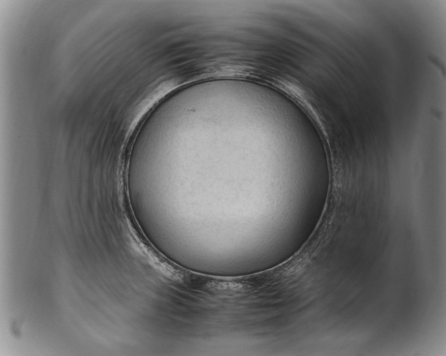 X0000102251235200808081403