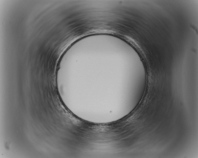 X0000102251236200808081403