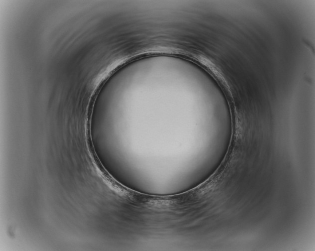 X0000102251237200808081403