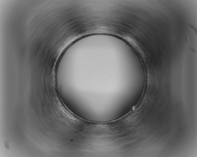 X0000102251238200808081403