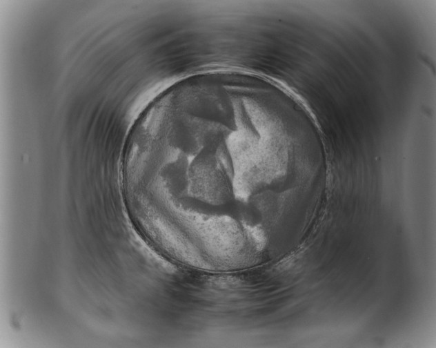 X0000102251239200808081403