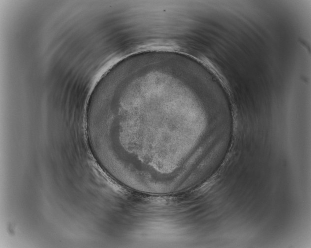 X0000102251240200808081403