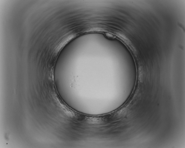 X0000102251241200808081403