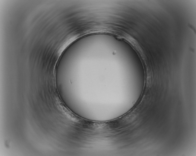 X0000102251242200808081403