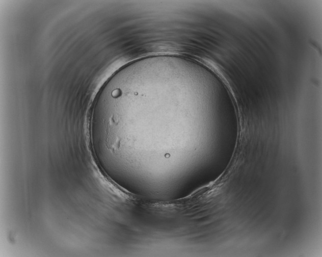 X0000102251243200808081403