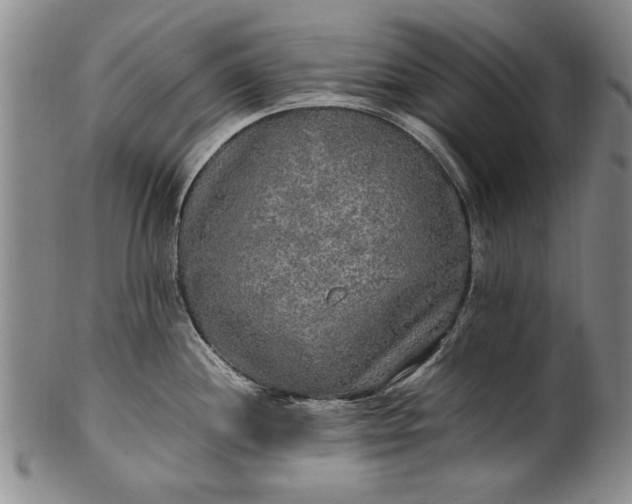 X0000102251244200808081403