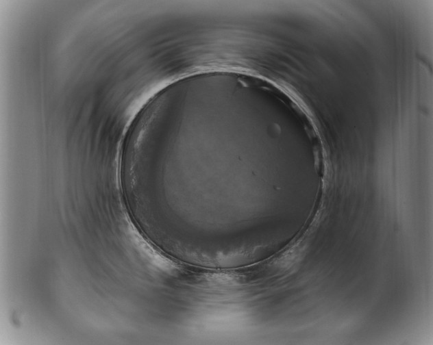 X0000102251246200808081403