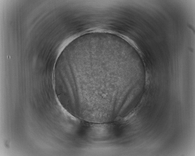 X0000102251247200808081403