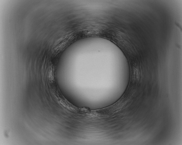 X0000102251250200808081403